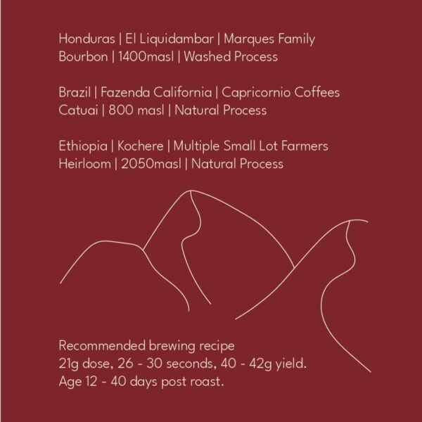 Chap+Back Specialty Coffee | Chapola Project